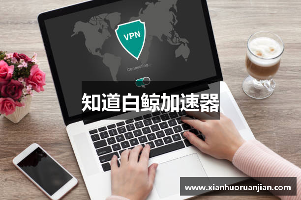 知道白鲸加速器
